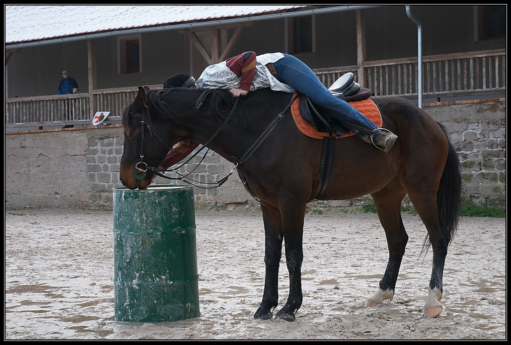 dsc_0150[1].jpg